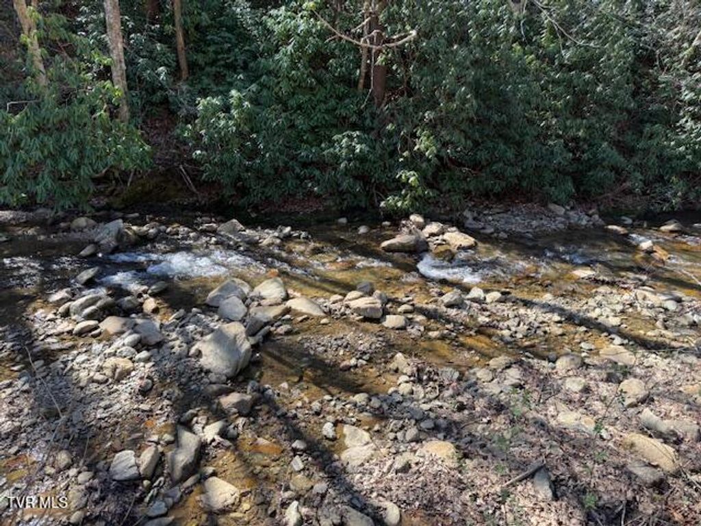 Photo of Tbd Willis Cove Road Road, Erwin, TN 37650 (MLS # 9992112)