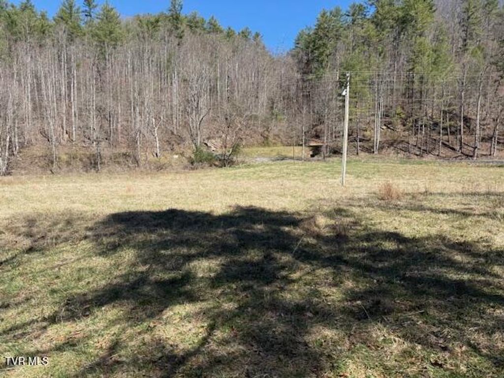 Photo of Tbd Willis Cove Road Road, Erwin, TN 37650 (MLS # 9992112)