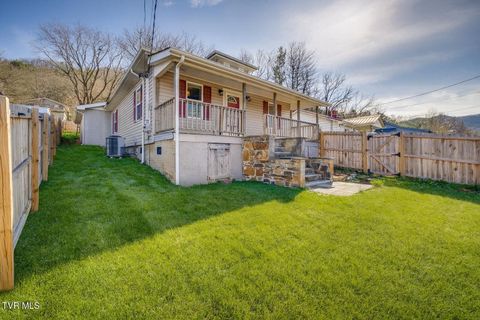 Photo of 205 Okolona Drive, Erwin, TN 37650 (MLS # 9988952)