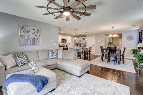 Tiny photo for 1209 Cherry Grove, Greeneville, TN 37745 (MLS # 9986325)