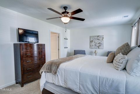 Tiny photo for 1209 Cherry Grove, Greeneville, TN 37745 (MLS # 9986325)