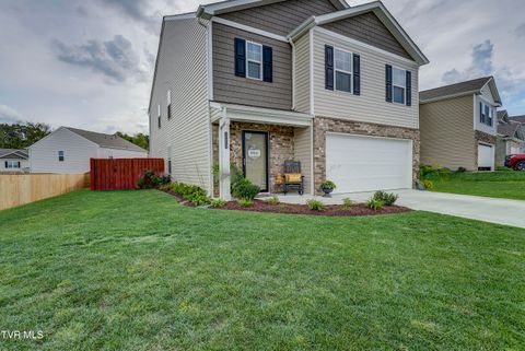 Tiny photo for 1209 Cherry Grove, Greeneville, TN 37745 (MLS # 9986325)