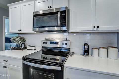 Tiny photo for 1209 Cherry Grove, Greeneville, TN 37745 (MLS # 9986325)