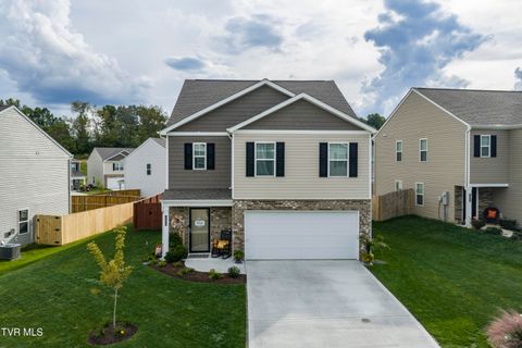 Tiny photo for 1209 Cherry Grove, Greeneville, TN 37745 (MLS # 9986325)