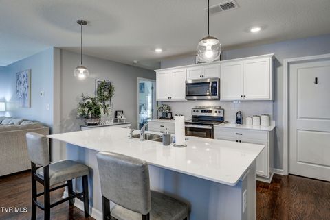Tiny photo for 1209 Cherry Grove, Greeneville, TN 37745 (MLS # 9986325)