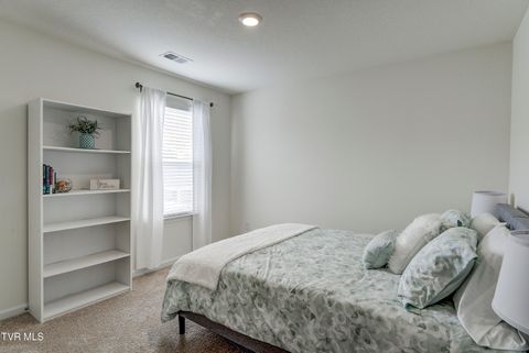 Tiny photo for 1209 Cherry Grove, Greeneville, TN 37745 (MLS # 9986325)