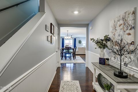 Tiny photo for 1209 Cherry Grove, Greeneville, TN 37745 (MLS # 9986325)
