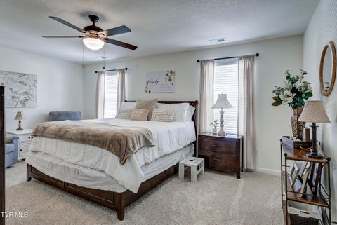 Tiny photo for 1209 Cherry Grove, Greeneville, TN 37745 (MLS # 9986325)