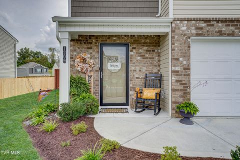 Tiny photo for 1209 Cherry Grove, Greeneville, TN 37745 (MLS # 9986325)