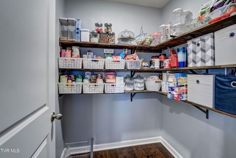 Tiny photo for 1209 Cherry Grove, Greeneville, TN 37745 (MLS # 9986325)