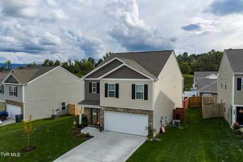 Tiny photo for 1209 Cherry Grove, Greeneville, TN 37745 (MLS # 9986325)