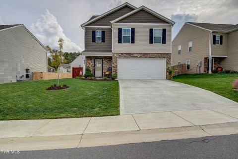 Tiny photo for 1209 Cherry Grove, Greeneville, TN 37745 (MLS # 9986325)