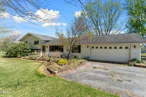 Homes For Sale - 1417 Upland Avenue<br/> Greeneville, TN 37743