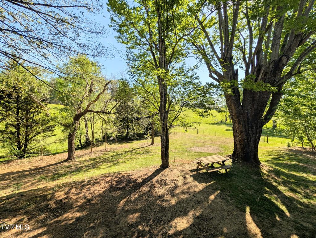 Photo of 139 Bill Bennett Road, Johnson City, TN 37604 (MLS # 9995728)