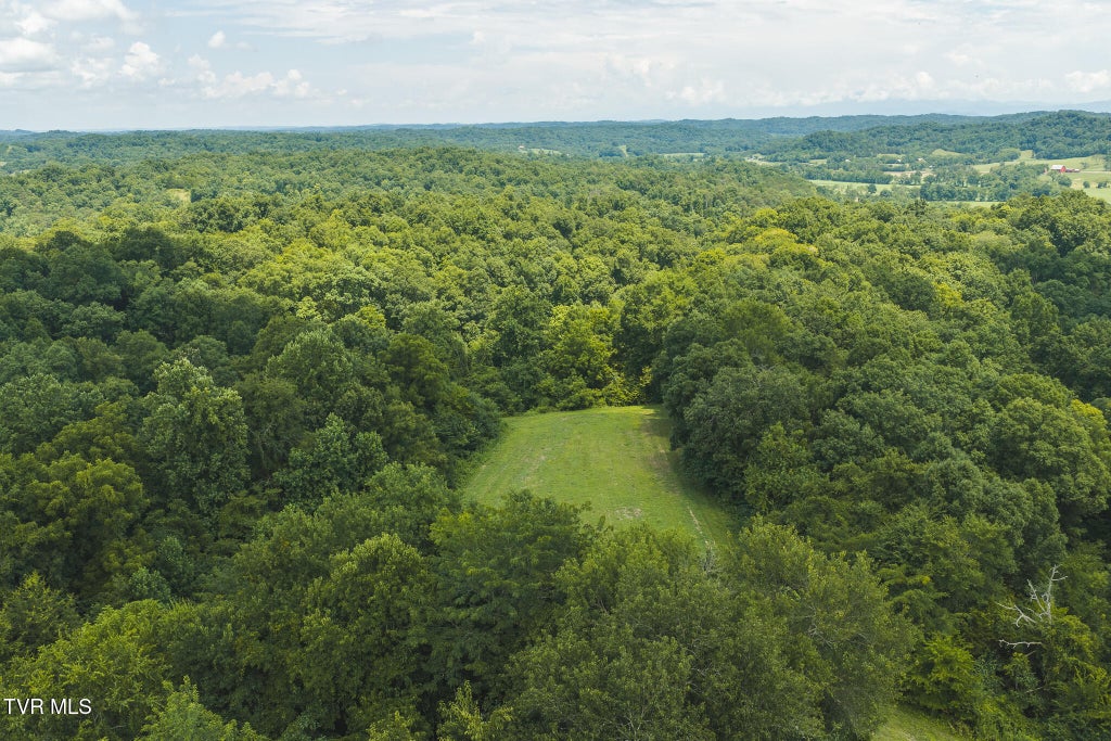 Photo of 114 Mohawk South Road, Midway, TN 37809 (MLS # 9998428)