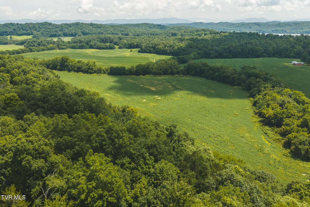 Photo of 114 Mohawk South Road, Midway, TN 37809 (MLS # 9998428)