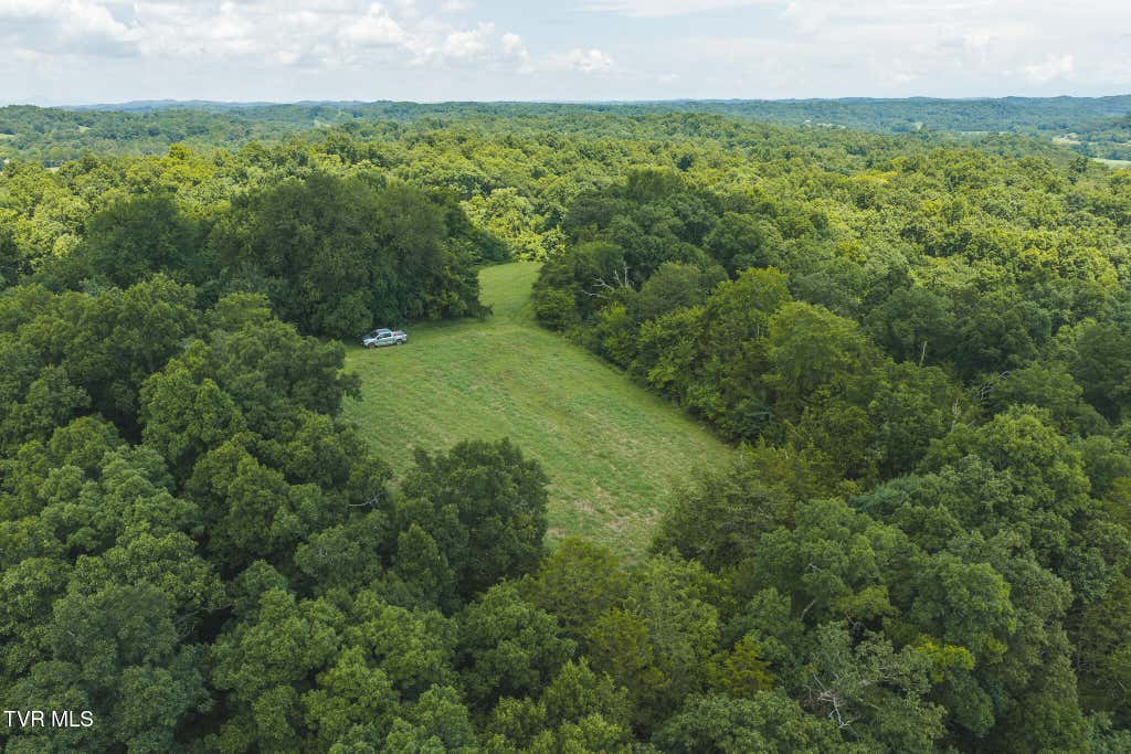 Photo of 114 Mohawk South Road, Midway, TN 37809 (MLS # 9998428)