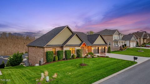 Photo of 1195 Panoramic Vista, Johnson City, TN 37615 (MLS # 9993178)