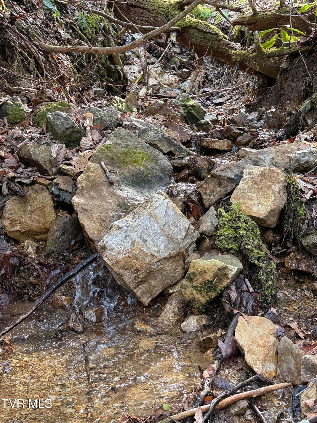 Photo of Tbd Highway 421, Mountain City, TN 37683 (MLS # 9991972)