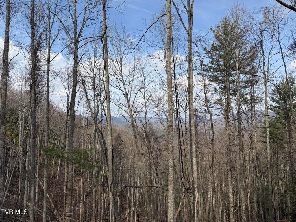 Photo of Tbd Highway 421, Mountain City, TN 37683 (MLS # 9991972)