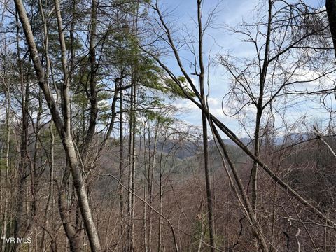 Vacant Land For Sale - TBD Highway 421<br/> Johnson County, Mountain City, TN 37683