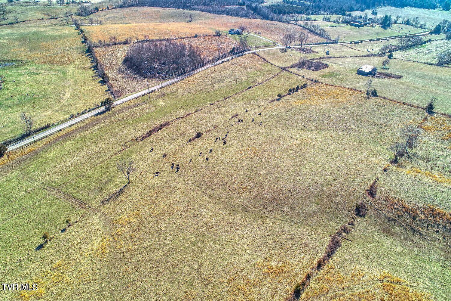 Tbd Old Snapps Ferry Road, Chuckey, Tennessee image 39