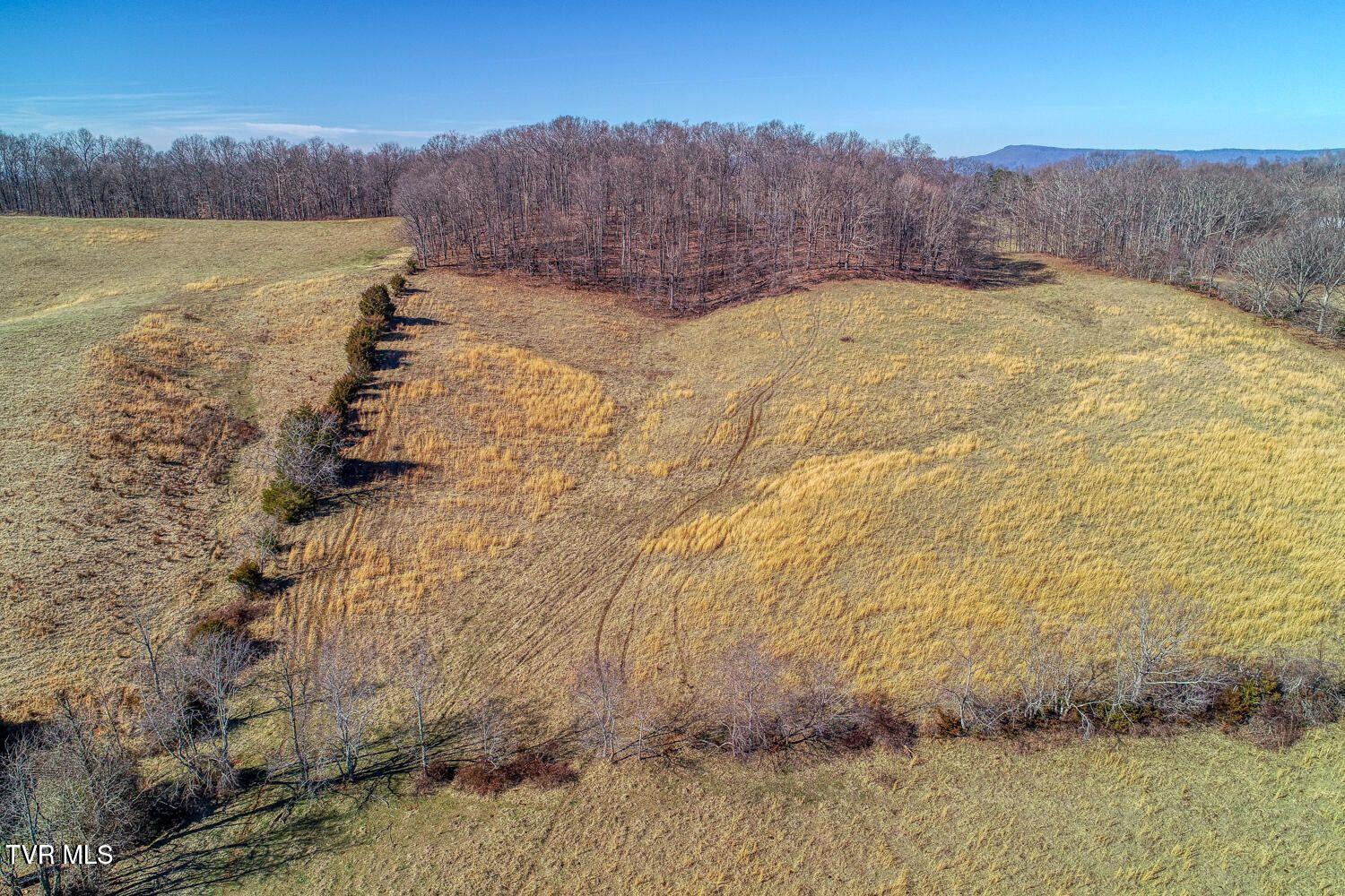 Tbd Old Snapps Ferry Road, Chuckey, Tennessee image 29