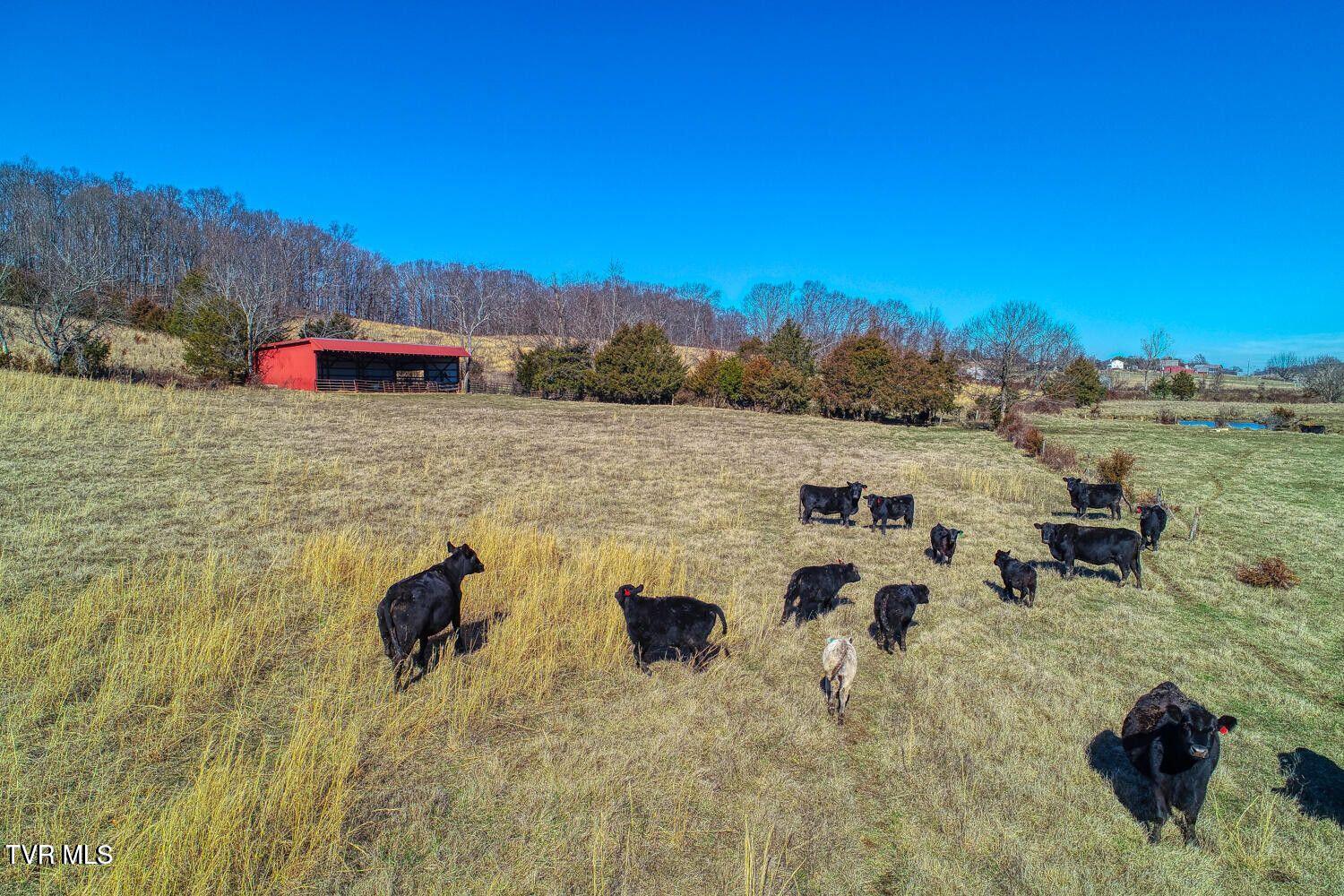 Tbd Old Snapps Ferry Road, Chuckey, Tennessee image 13