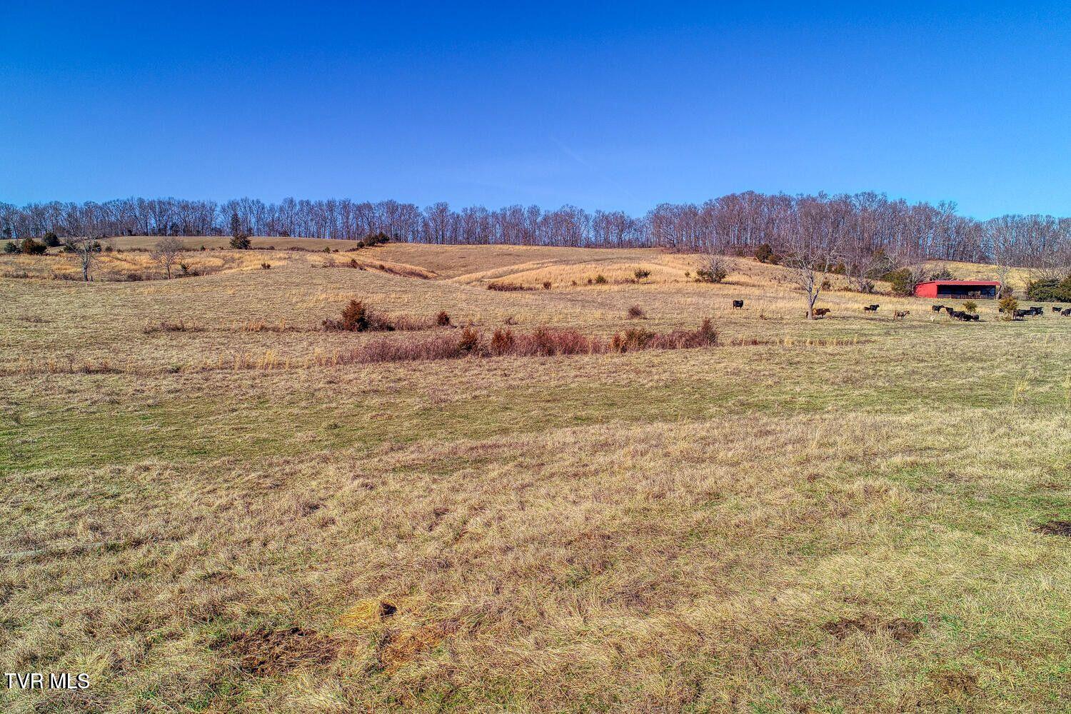 Tbd Old Snapps Ferry Road, Chuckey, Tennessee image 16