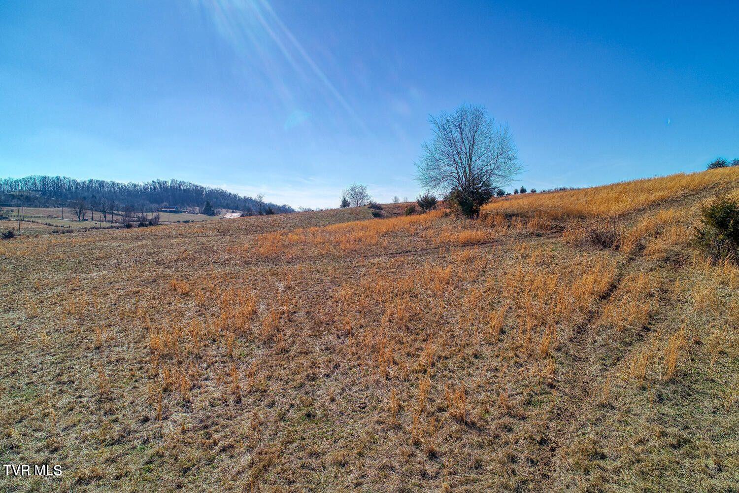 Tbd Old Snapps Ferry Road, Chuckey, Tennessee image 9