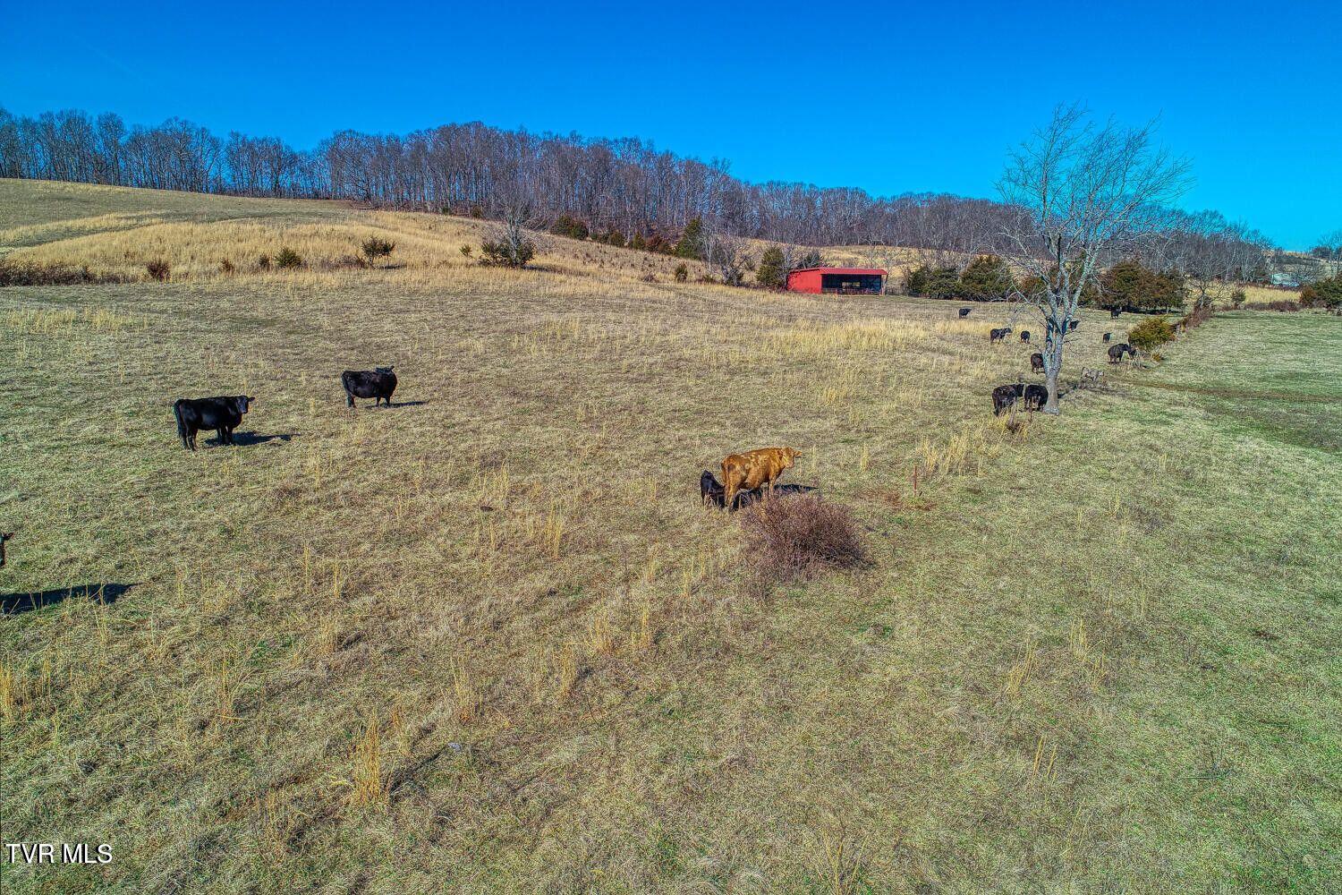Tbd Old Snapps Ferry Road, Chuckey, Tennessee image 25