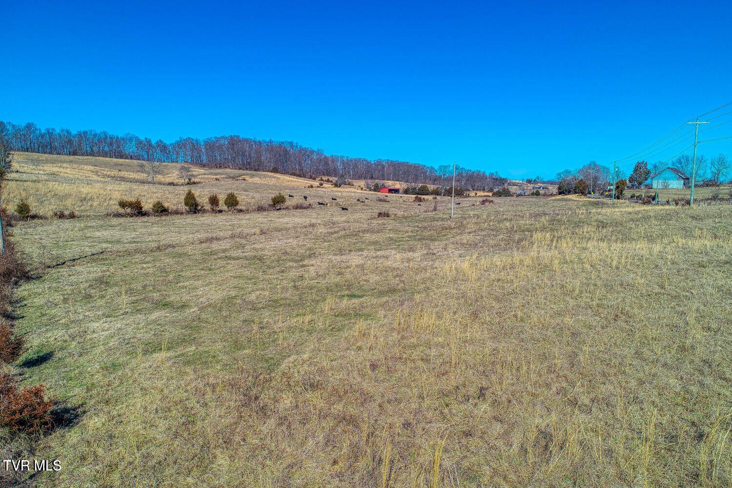 Tbd Old Snapps Ferry Road, Chuckey, Tennessee image 21