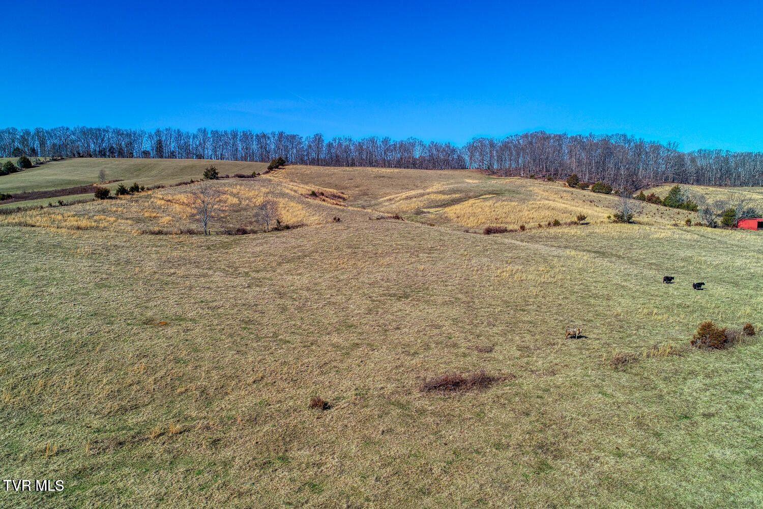 Tbd Old Snapps Ferry Road, Chuckey, Tennessee image 20