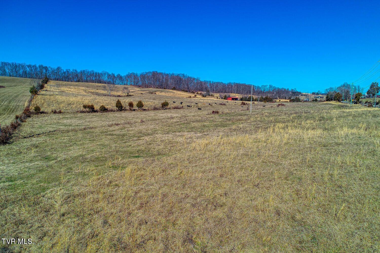 Tbd Old Snapps Ferry Road, Chuckey, Tennessee image 23