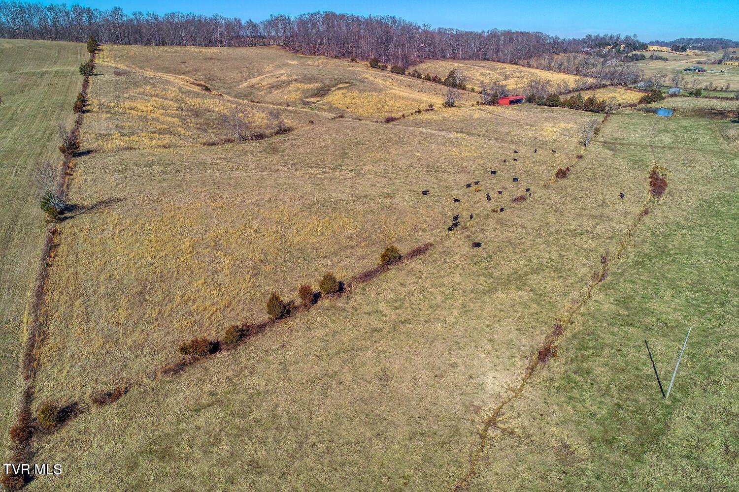 Tbd Old Snapps Ferry Road, Chuckey, Tennessee image 5