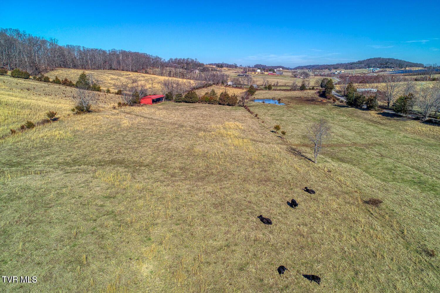 Tbd Old Snapps Ferry Road, Chuckey, Tennessee image 3
