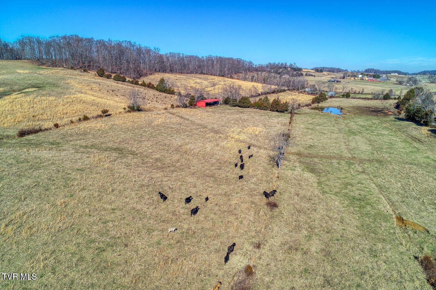 Tbd Old Snapps Ferry Road, Chuckey, Tennessee image 36