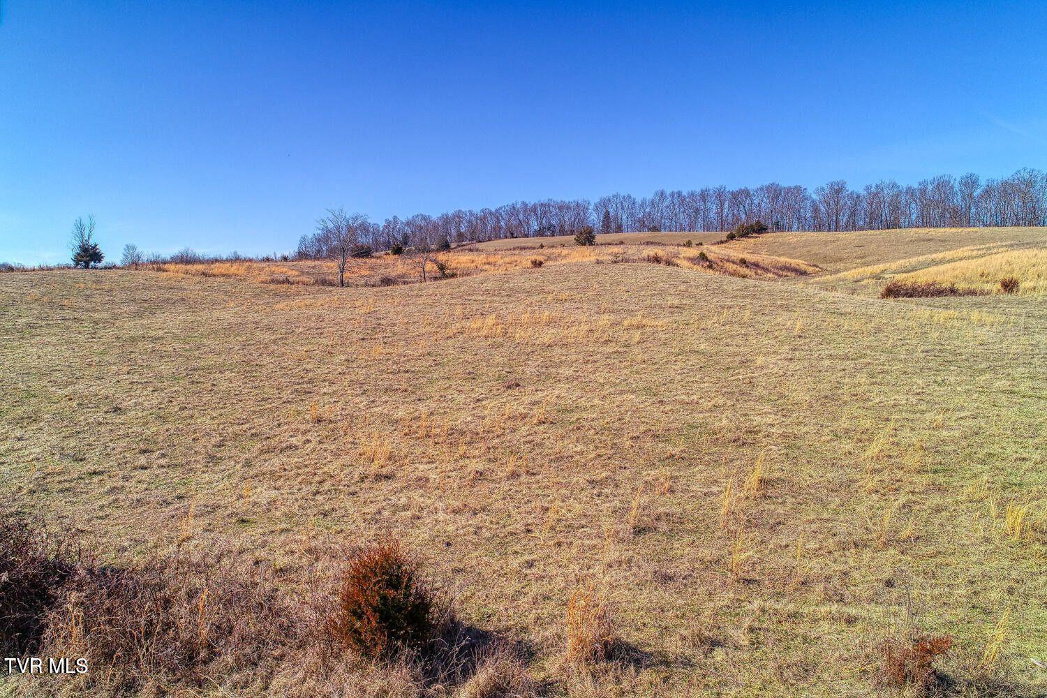 Tbd Old Snapps Ferry Road, Chuckey, Tennessee image 17