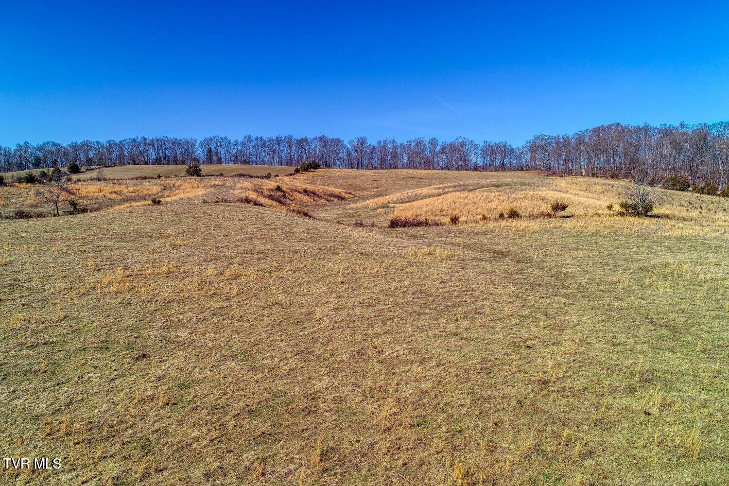 Tbd Old Snapps Ferry Road, Chuckey, Tennessee image 19