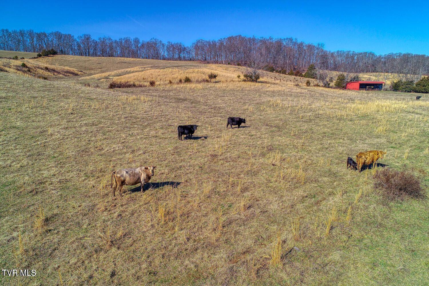 Tbd Old Snapps Ferry Road, Chuckey, Tennessee image 24