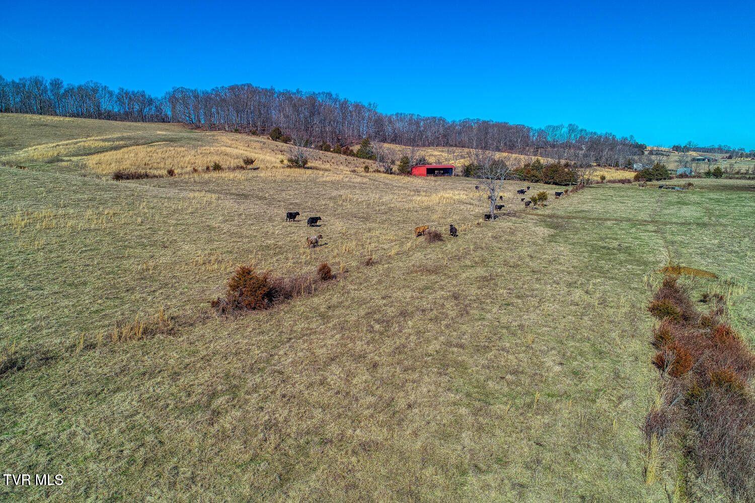 Tbd Old Snapps Ferry Road, Chuckey, Tennessee image 33