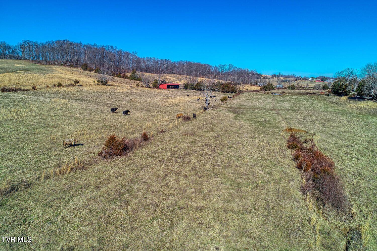 Tbd Old Snapps Ferry Road, Chuckey, Tennessee image 34