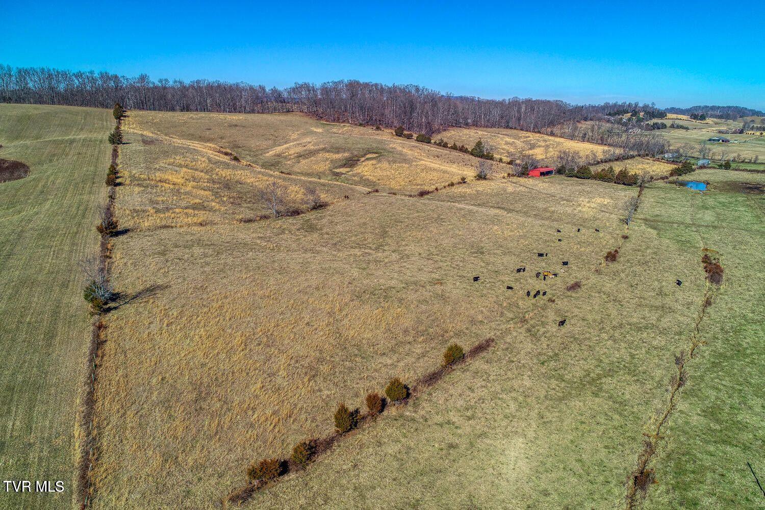 Tbd Old Snapps Ferry Road, Chuckey, Tennessee image 43