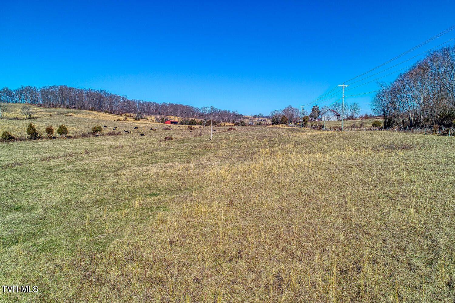 Tbd Old Snapps Ferry Road, Chuckey, Tennessee image 1