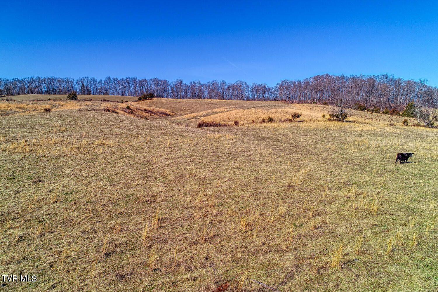 Tbd Old Snapps Ferry Road, Chuckey, Tennessee image 7