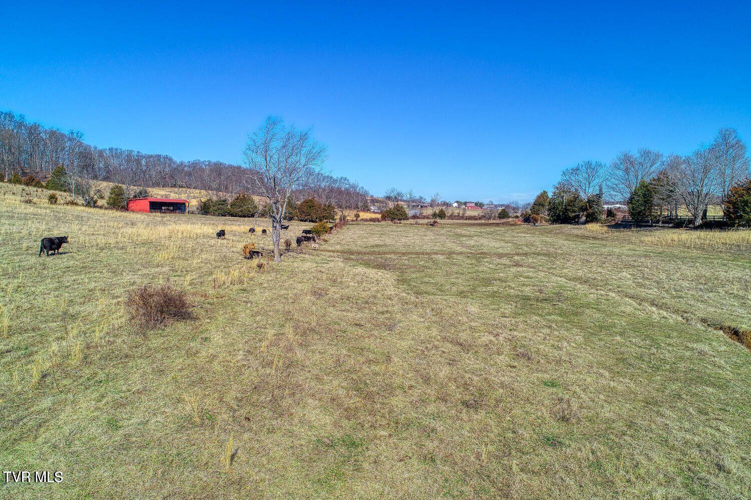 Tbd Old Snapps Ferry Road, Chuckey, Tennessee image 14