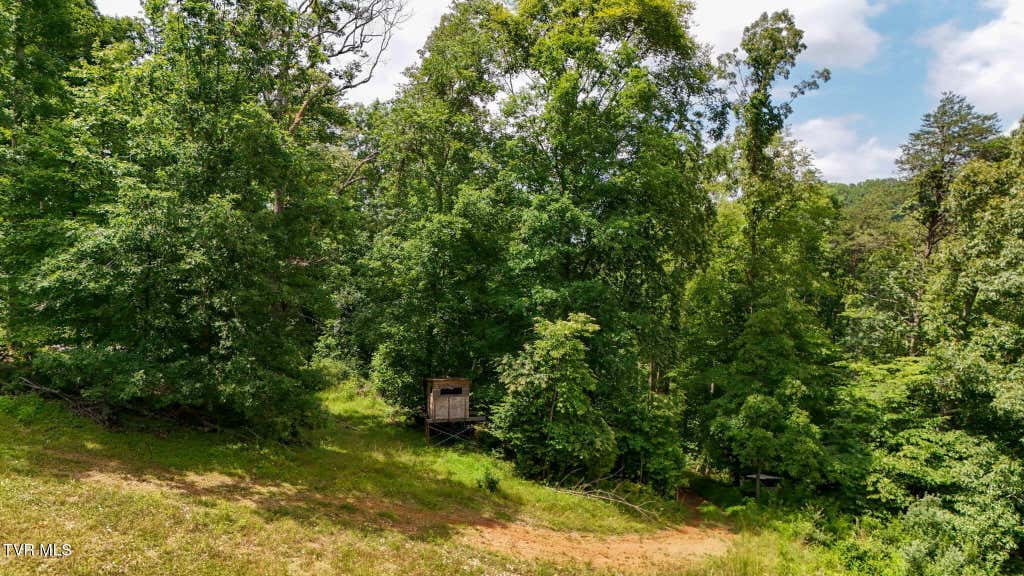 Photo of Tbd Veterans Memorial Highway, Gate City, VA 24251 (MLS # 9997580)