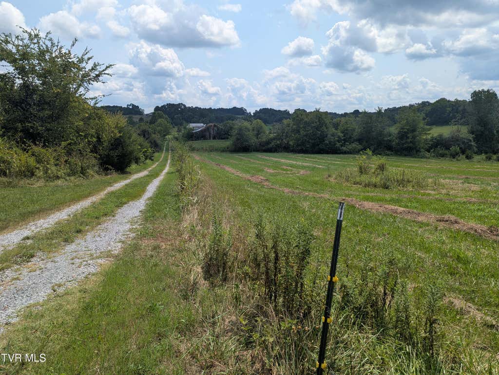 Photo of 7991 Warrensburg Road, Mosheim, TN 37818 (MLS # 9999422)