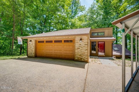 Photo of 4517 Glenbrook Drive, Kingsport, TN 37664 (MLS # 9995684)