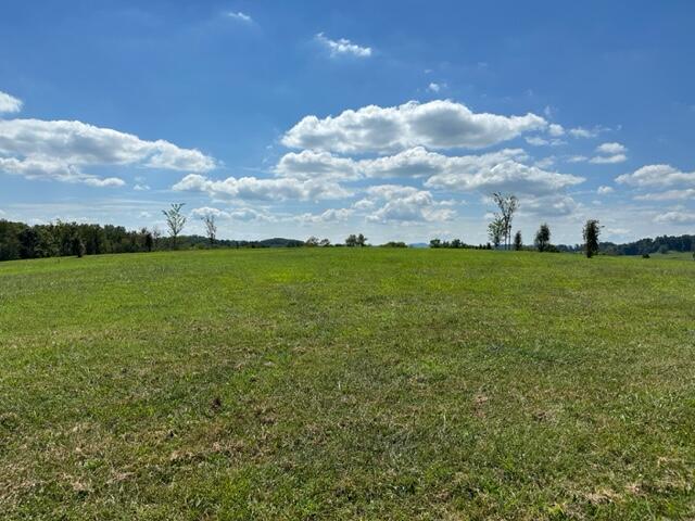 Lot 6 Turkey Ridge Lane, Piney Flats, Tennessee image 3